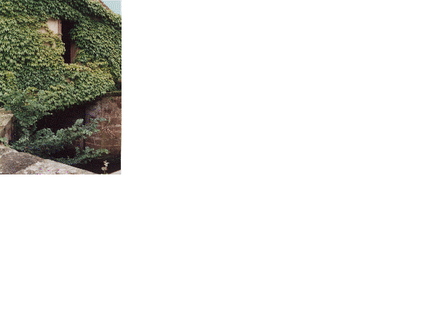 Tour des Husgenossen